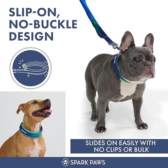 Spark Paws Martingale Dog Collar – Cushioned Slip-On Training Collar, Heavy Duty, Safety-Tested No-Buckle Collar for Medium & Large Dogs - Lime Wave - D