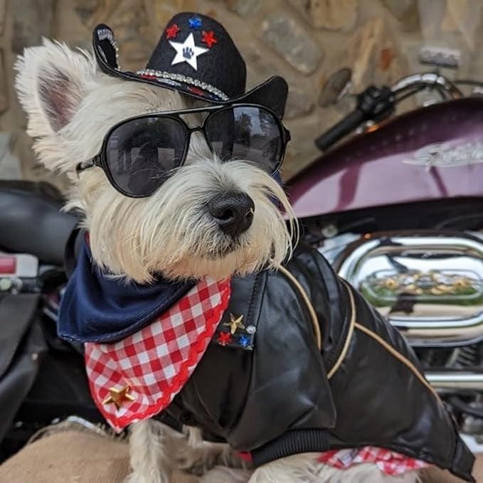 Dog Leather Jacket - Cute Leather Dog Jackets Motorcycle Clothes with Buttons Pet Waterproof Winter Coat for Small Medium Dogs(Black, XS)