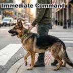 Joytale Tactical Dog Collar for Medium Dogs with Control Handle, Heavy Duty Military Training Collar for Power Breeds, AirTag Holder Case, Quick Release Metal Buckle, Soft Padded, M, Khaki