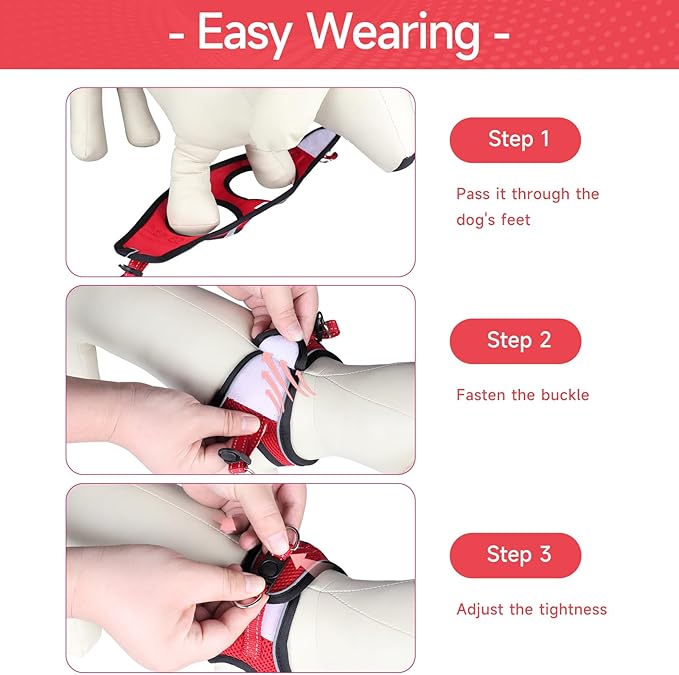 Dog Harness for Small Dogs and Leash Set, Honeycomb Grid, Reflective Lightweight Harness & Anti-Twist Pet Lead Multi Color, Size: XS-S-M. (XS, Black & Red)