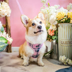 SCENEREAL Puppy Dog Harness with Leash Set for Small Medium Sized Dogs, Soft Mesh Pet Harnesses and Leash, No Chock Plaid Adjustable No Pull Vest for Dogs Cats, Chihuahua,Bulldog (Pink S)