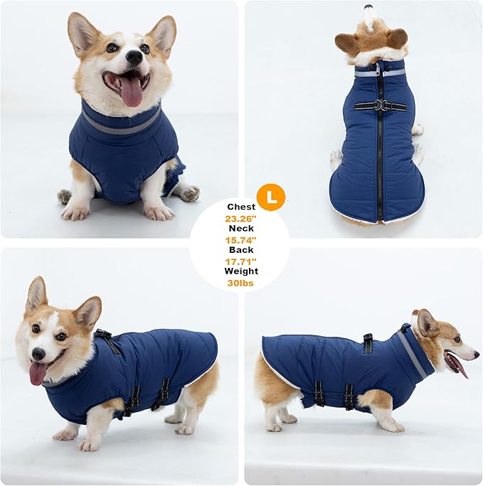Mklhgty Dog Coat with Harness Built-in, Waterproof Reflective Fleece Lined - Warm Windproof Winter Jacket with Back Zipper, Cold Weather Snow Dog Coats - Blue - L