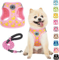 BEAUTYZOO Dog Harness Medium Sized and Leash Set, Step-in Soft Padded Mesh Puppy Vest, Reflective Dog Harness No Pull No Choke, Breathable Easy Walking Vest Harnesses for Girl Boy Pets,Pink Ducks M