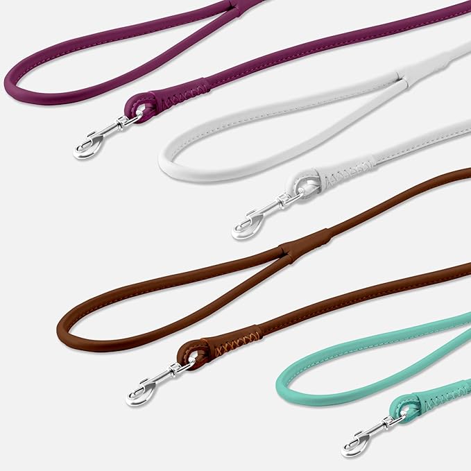 CollarDirect Rolled Leather Dog Leash 6ft, Soft Training Leather Dog Leash for Puppy and Grown Dog Small Medium Large Black Blue Red Orange Green Pink White (Brown, Size XL 6ft)