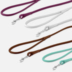 CollarDirect Rolled Leather Dog Leash 6ft, Soft Training Leather Dog Leash for Puppy and Grown Dog Small Medium Large Black Blue Red Orange Green Pink White (Brown, Size XL 6ft)