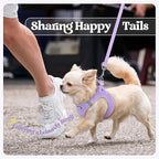 rabbitgoo Dog Harness Small Sized and Leash Set, Step in Soft Light Puppy Vest, Breathable Mesh Pet Harness, Reflective for Safe Easy Walking, Light Purple S
