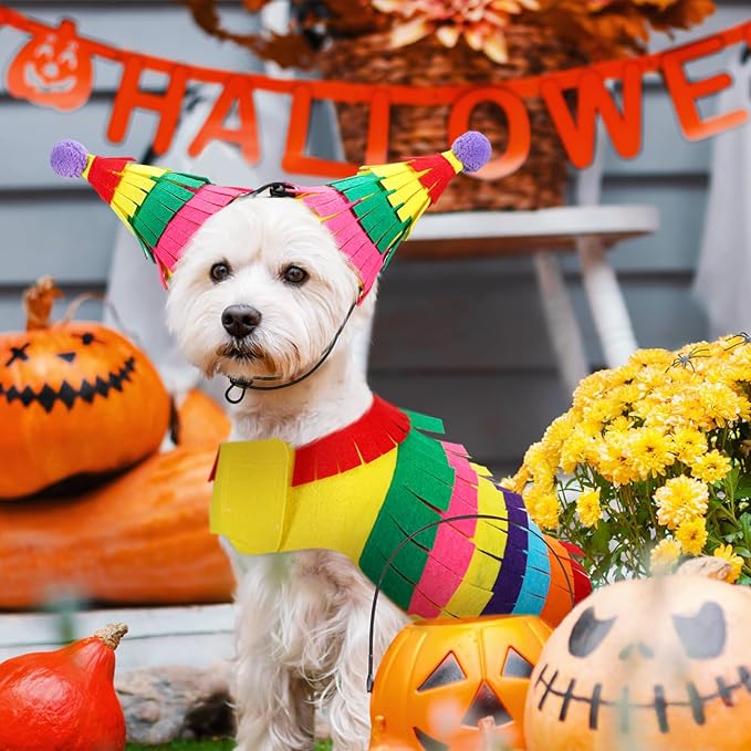 Halloween Pinata Dog Costume Mexican Dog Costume Halloween Cosplay Outfits Cute Clothes Adjustable Dress up Apparel Accessories for Small Medium Large Dogs(M, 8.8-19 LB)