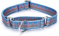 Martingale Dog Collars - Flower Multicolor Cute Patterns, Adjustable Nylon Training Dog Collar Suitable for Boy and Girl Dogs Medium Large Dogs (M, Blue1)
