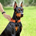 Tactical Dog Collar, Adjustable Military Training Nylon Dog Collar with Control Handle and Heavy Quick-Release Metal Buckle for Small Medium Large Dogs, Orange M