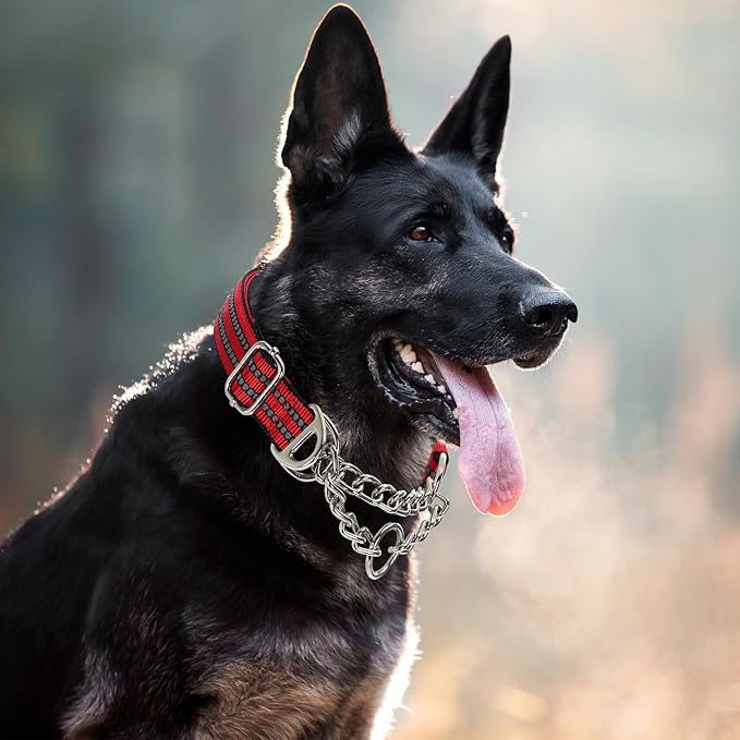 Martingale Dog Collar for Training,Adjustable No Pull Reflective Collar with Chain for Medium to Large Dogs Secure/Comfortable Walking Collar for Night Safety（Red M）