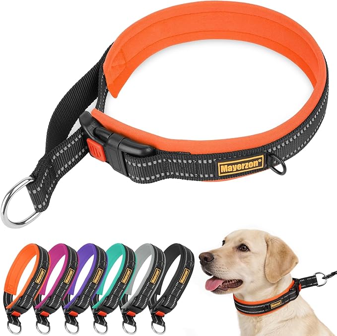 Mayerzon 1.5" Wide Martingale Collar for Large Medium Small Dogs Pitbull German Shepherd, No Pull Reflective Slip Martingale Dog Collar with Buckle Soft Padded for Walking Training(Orange, XL)