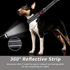 Martingale No Pull Dog Collar for Large Medium Small Dogs, Heavy Duty Nylon Reflective Adjustable Anti Pull Slip Collar with Buckle for Training Walking S Black Black