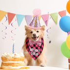 Weewooday Dog Birthday Party Supplies Birthday Boy Girl Cake Bandana Triangle Scarf Party Hat Dog Bow Tie Collar with Numbers for Large Medium Small Dog Puppy 1st Birthday(Sweet Style,Medium)