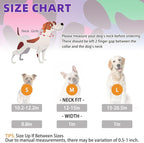 KOOLTAIL Martingale Collar for Dogs for Small Medium Large Dogs, Soft Padded Nylon No Pull Dog Collar with Buckle, Adjustable No Slip Heavy Duty Durable Puppy Training Collar for Boys Girls, M