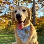 Sheriff Dog Bandana | Professions Halloween Costume | 100% Cotton Triangle | Made in USA | Police Theme | Parade Party | Trick or Treat | Matching Set | Assorted Sizes | Baby Blue X-Small (1153)