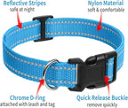 PaiPaitek Shock Collar Replacement Strap 2-Pack, Reflective & Adjustable 3/4" Dog Collar for Training - Compatible with Jugbow, PetSafe, Bousnic, Garmin Replacement Collar Strap - 2 Pack