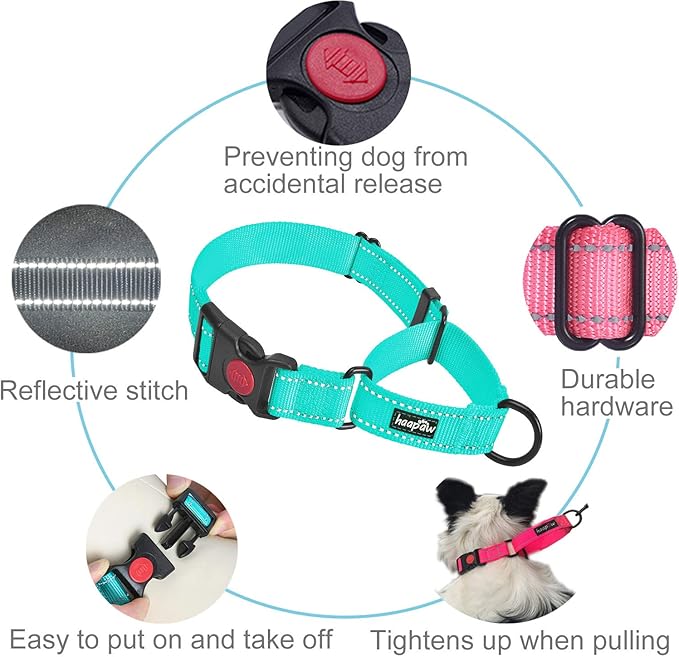 haapaw 2 Packs Martingale Dog Collar with Quick Release Buckle Reflective Dog Training Collars for Small Medium Large Dogs (Medium, Turquoise/Turquoise)