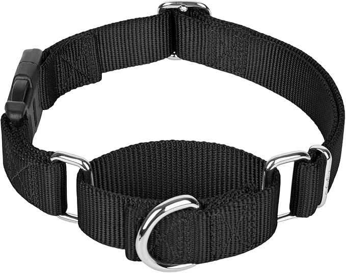 Martingale Collar for Dogs with Quick Release Buckle, Heavy-Duty Solid Color Nylon Training Collars - Adjustable No-Slip Design for Medium & Large Dog