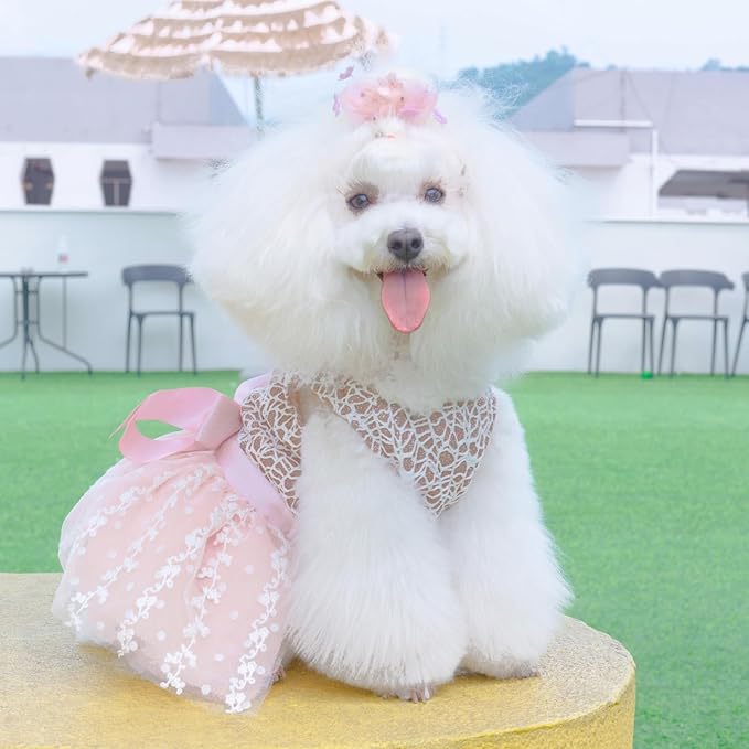 CuteBone Dog Birthday Dress Girl Puppy Skirt Tutu Cat Wedding Outfit Pet Party Clothes for Small Dogs Costume DD23S