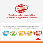 Nylabone Femur Bone Alternative Power Chew Toy for Dogs, Dog Toys for Aggressive Chewers, Beef Flavor, Large - Up to 50 lbs, 1 Count