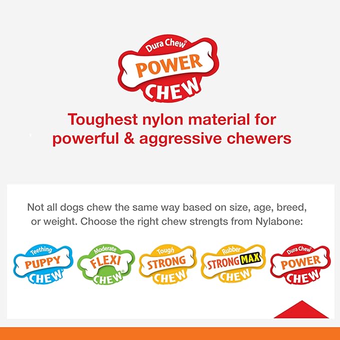 Nylabone Femur Bone Alternative Power Chew Toy for Dogs, Dog Toys for Aggressive Chewers, Beef Flavor, Large - Up to 50 lbs, 1 Count
