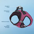 Best Pet Supplies Voyager Step-in Air Harness - All Weather Mesh, Reflective, No Pull Harness for Dogs, Cats - Secure with Hook & Loop Fastener, Buckle, Double D-Rings - Fuchsia 2-Tone, L