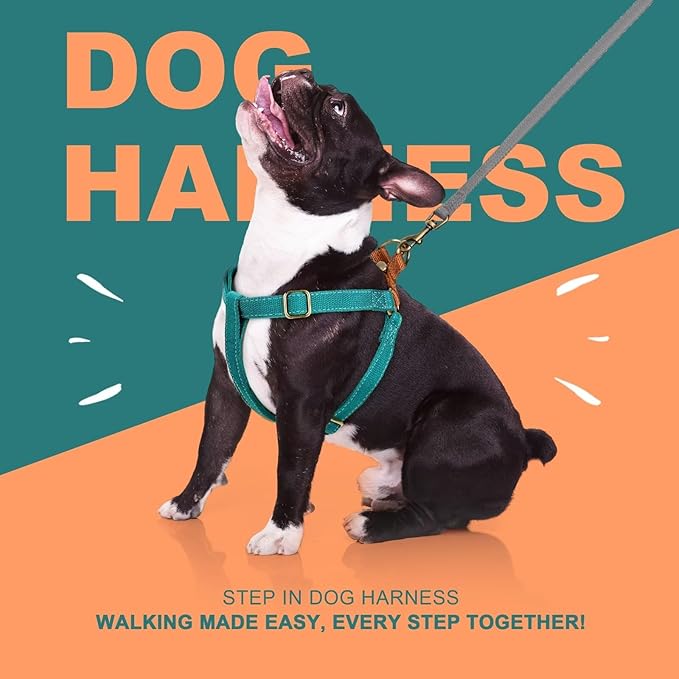 Didog Step in Dog Harness with Metal Buckles, Freedom Nylon Dog Halter Vests for Medium Dogs Easy Walking Training(M:Chest 19-28", Blue)
