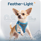 Eagloo Small Dog Harness and Leash Set, Step in Puppy Vest with Breathable Soft Mesh, Walking Reflective Pet Harness for Extra Small Dogs, Blue, XXS
