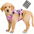 WINSEE Escape Proof Dog Harness, Service Working Molle Harness with Double Handle, Tactical Pet Vest with 4 Patches for Small Medium Large Dogs Walking Hiking Hunting