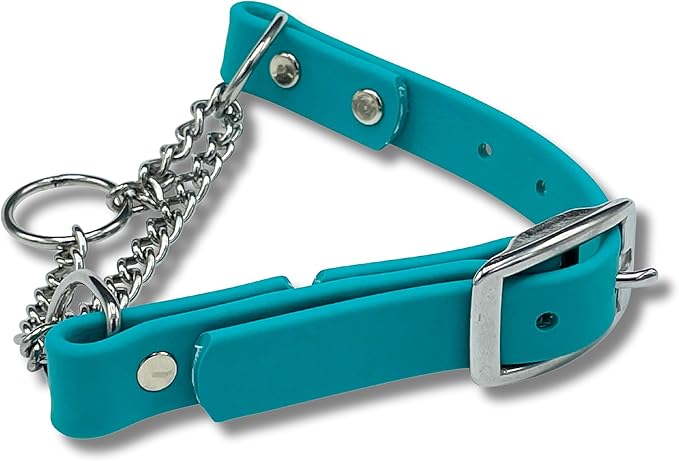 Martingale Collar for Dogs, Biothane, Stainless Steel Hardware, No Pull, Made in The USA, Professional Grade, XS, Teal