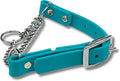 Martingale Collar for Dogs, Biothane, Stainless Steel Hardware, No Pull, Made in The USA, Professional Grade, Medium, Teal