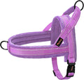 Didog Soft Flannel Padded Dog Vest Harness, No Pull/Quick Fit Reflective Dog Strap Harness, Easy for Training Walking (M:Chest 22-26", Purple)