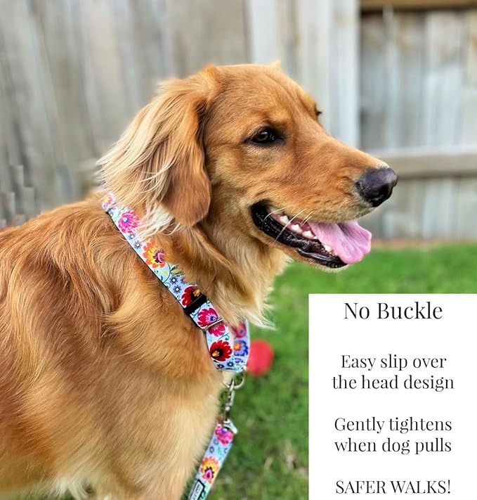 Lucky Love Dog Martingale Dog Collar - Adjustable, No-Slip, Durable, & Soft Webbing Collar for Male and Female Dogs Ideal for Training & Walking - Ladybird, Small