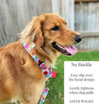 Lucky Love Dog Martingale Dog Collar - Adjustable, No-Slip, Durable, & Soft Webbing Collar for Male and Female Dogs Ideal for Training & Walking - Ladybird, Small
