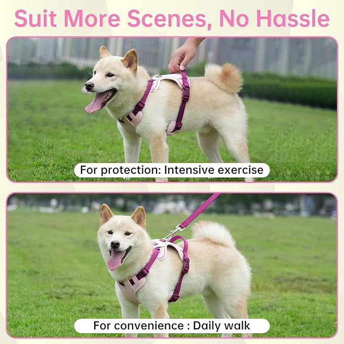 3 in 1 No Pull Dog Harness Leash and Collar Set, Soft Adjustable Dogs Vest Reflective and Comfortable Handle Pink Small