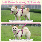 3 in 1 No Pull Dog Harness Leash and Collar Set, Soft Adjustable Dogs Vest Reflective and Comfortable Handle Pink Large