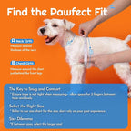 Eagloo Small Dog Harness and Leash Set, Step in Puppy Vest with Breathable Soft Mesh, Walking Reflective Pet Harness for Small Dogs, Orange, XS