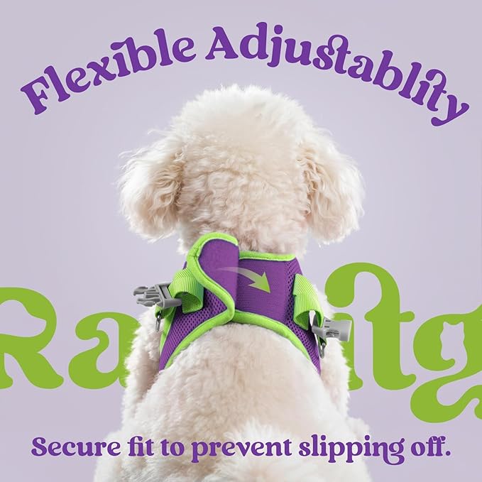 rabbitgoo Dog Harness Small Sized and Leash Set, Step-in Breathable Pet Harness, Soft Walking Reflective Puppy Vest for Small Dogs, Purple & Green, XXS