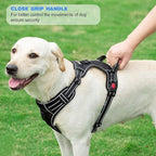 No Pull Dog Harness Adjustable Reflective Oxford Easy Control Medium Large Dog Harness with A Free Heavy Duty 5ft Dog Leash