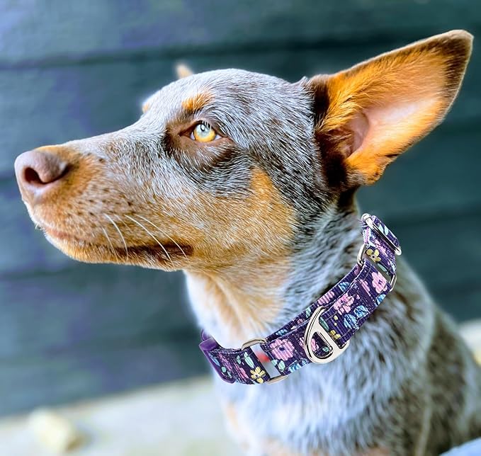 Heavy Duty Martingale Collar for Dogs - Reflective Nylon with Quick Release Buckle & Purple Flowers Design - No Slip Choke Collar for Training, Walking & Nighttime Safety S
