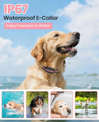 2 Dogs Bark Collar with Remote, 2-in-1 Bark and Shock Collar Combo, 3300Ft Dog Training Collar 2 Pack - Auto Anti Bark/Beep/Vibration/Shock, IP67 Smart E-Collar with 5 Adjustable Levels of Sensitivity