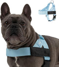DF Co. Dog Harness | Chafe Resistant Webbing, Adjustable Neck & Chest, and Heavy Duty D-Ring | Sturdy, Comfortable, Easy to Use | Sky Blue, Size M