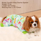 KYEESE Dog Pajamas Comfy Clothes for Dogs Boy Girl Stretchy Pet Jammies Onesie Soft Outfit Velvet Pjs Large Dog Pajamas with Colorful Dinosaurs, XX-Large
