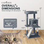 CAPHAUS Kittens Tower with 2-Door Large Cave Condo, Activity Indoor Cat Tree with Large Widened Perch, Multi-Level with Cute Cats Scratching Posts, Modern Ramp, 37-Inch Activity Tree for Small Cats