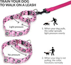 Martingale Collar and Leash Set, Premium No Slip Martingale Collar for Dogs Medium Large, Girl Dog Collars Training (NO3, L)