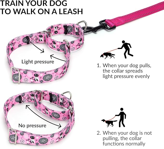 Martingale Collar and Leash Set, Premium No Slip Martingale Collar for Dogs Medium Large, Girl Dog Collars Training (NO23, M)