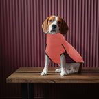 ROZKITCH Dog Winter Coat Soft Pullover Pajamas, Pet Windproof Warm Cold Weather Jacket Vest Cozy Jumpsuit Apparel Outfit Clothes for Small Medium Large Giant Walking Hiking Travel Orange 4XL