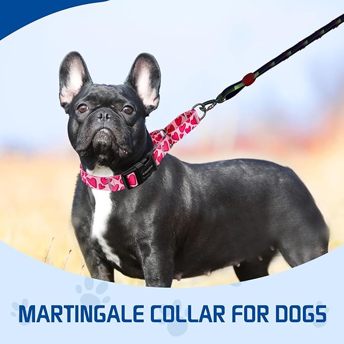 Kazazoo Martingale Collar for Dogs with Quick Release Buckle Adjustable Soft Durable Dog Collar for Small Medium Large No Pull Training Dog Collars-Hot Pink S