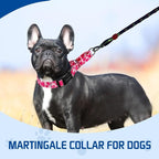 Kazazoo Martingale Collar for Dogs with Quick Release Buckle Adjustable Soft Durable Dog Collar for Small Medium Large No Pull Training Dog Collars-Hot Pink S