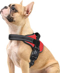 rabbitgoo Dog Harness Small Sized, No Pull No Choke Pet Vest, Easy Wearing with One Buckle, Reflective, Adjustable Pet Harness with Molle for Walking, Training, Red, S